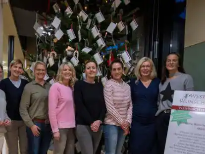 Das Westersteder Wunschbaum-Team: Sie hoffen darauf, dass der Baum im Hintergrund m&ouml;glichst leer gepfl&uuml;ckt wird.