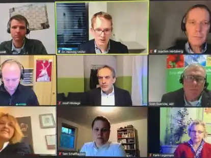 Per Videokonferenz wurden die Projekte vorgestellt.