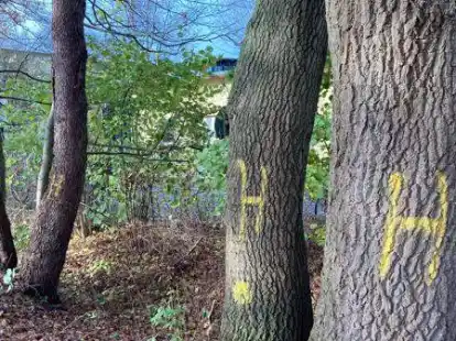 F&uuml;r die Wartung der Gasdruckleitung m&uuml;ssen B&auml;ume gerodet werden.