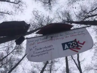 Baumbesetzung in Garnholt: Aktivisten wollen nach eigener Aussage die F&auml;llung von B&auml;umen verhindern.