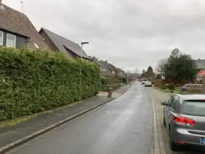 Auf der s&uuml;dlichen Seite der Juiststra&szlig;e (links) sollen sechs Wohnungen erlaubt werden, an der n&ouml;rdlichen (rechts) dagegen zwei. Das kritisiert die B&uuml;rgerinitiative &bdquo;Inselviertel&ldquo;