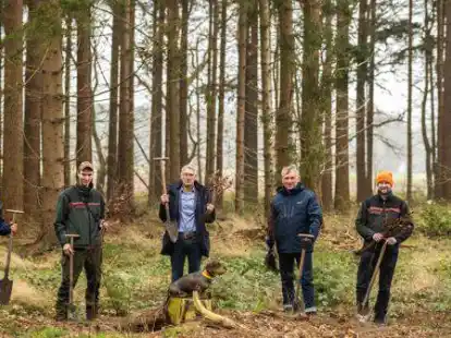 Die ersten von insgesamt 2000 B&auml;umen wurden im Hegeler Wald in Gro&szlig;enkneten gepflanzt. Dabei waren (von links) Stefan W&uuml;rdemann (Betriebsrat EWE Netz), Justin B&ouml;ning (Revierleiter Sandkrug), B&uuml;rgermeister Thorsten Schmidtke, Torsten W&uuml;stenberg (EWE-Netz-Regionsleiter), Philipp Verpoorten (Betriebsdezernent im Forstamt Ahlhorn) und Fritz-Gerhard Friedrichs (Betriebsrat EWE Netz).