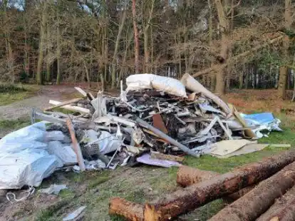M&uuml;llberg am Waldrand: Der Grundst&uuml;ckseigent&uuml;mer entdeckte diesen illegal entsorgten Bauschutt.