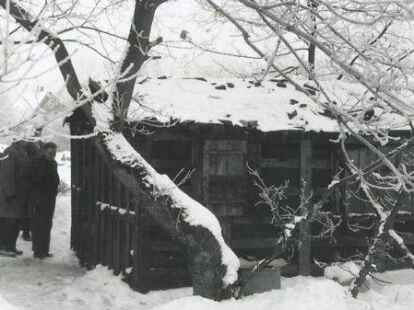 Mitglieder des Verwaltungsausschusses statteten im Winter 1959/60 &bdquo;Waldheini&ldquo; in seiner Baracke einen Besuch ab.