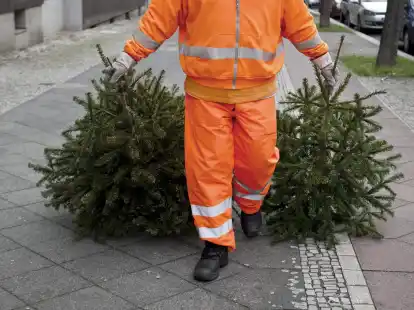 Zum Schluss sind sie Gr&uuml;nabfall: Ausgediente Weihnachtsb&auml;ume k&ouml;nnen zum Beispiel zu den Schulh&ouml;fen der Stadt Oldenburg gebracht werden.