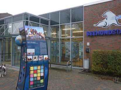 Bilder wie diese sollen k&uuml;nftig der Vergangenheit angeh&ouml;ren: Bei der Erweiterung der Seehundstation sollen auch Hunde einen &bdquo;Parkplatz&ldquo; bekommen.