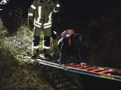 Es war schon dunkel als die Feuerwehr Harpstedt die Jugendlichen aus dem Waldgebiet gerettet hat.