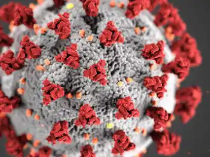 Diese Illustration zeigt die ultrastrukturelle Morphologie, die Coronaviren aufweisen. Man beachte die Stacheln, die die &auml;u&szlig;ere Oberfl&auml;che des Virus zieren und die bei elektronenmikroskopischer Betrachtung das Aussehen einer das Virion umgebenden Corona vermitteln.