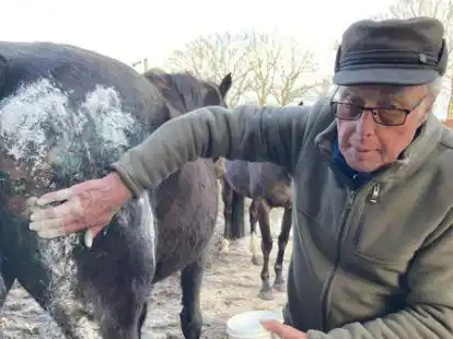 Dieter Kullmann mit der Hannoveraner-Stute Havanna. Das Tier wurde vermutlich von einem Wolf attackiert.