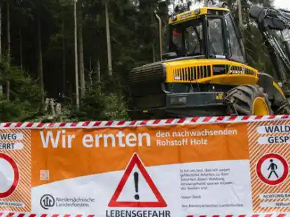 Mit Bannern wie diesem wird derzeit im Sandkruger Waldgebiet gewarnt.