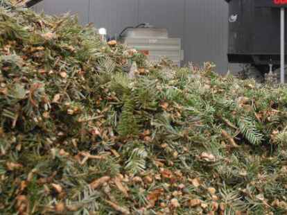 Gerade noch geschm&uuml;ckt - schon geschreddert.