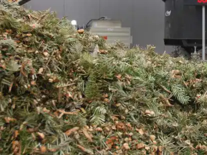 Gerade noch geschm&uuml;ckt - schon geschreddert.