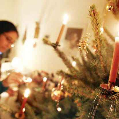 Wenn die Kerzen erloschen sind: Ausgediente Tannenb&auml;ume nimmt auch der Abfallwirtschaftsbetrieb &uuml;ber die Ast- und Strauchwerk-Abholung mit.