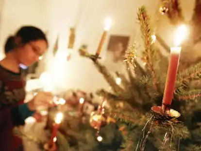 Wenn die Kerzen erloschen sind: Ausgediente Tannenb&auml;ume nimmt auch der Abfallwirtschaftsbetrieb &uuml;ber die Ast- und Strauchwerk-Abholung mit.