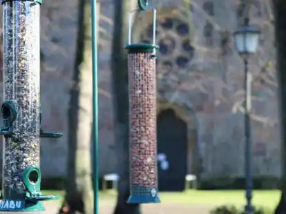 Kleine Futterger&auml;te, um V&ouml;gel in Wildeshausen artgerecht zu f&uuml;ttern: Der Nabu will demn&auml;chst auch Schaunachmittage bei der Alexanderkirche anbieten.