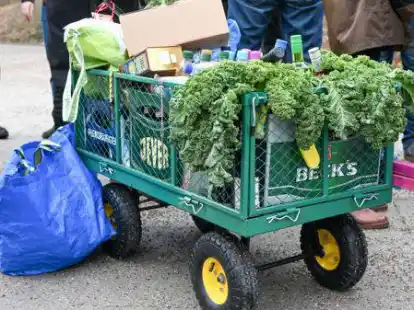 Viele geplante Kohltouren im Landkreis Oldenburg fallen in diesem Januar aus.