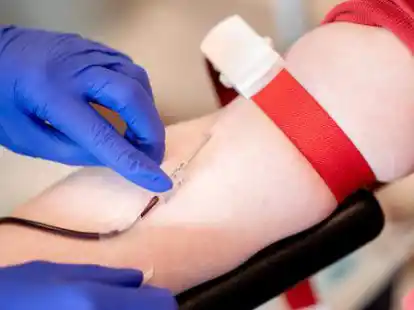Eine Mitarbeiterin vom Blutspendedienst des Deutschen Roten Kreuzes (DRK) fixiert w&auml;hrend einer Blutspende die Nadel.