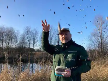 Mit dem richtigen Futter, kommt die heimische Vogelwelt auf jeden Fall in den Garten, wei&szlig; Kersten Ebel, Hobby-Ornithologe und seit Jahrzehnten beim Nabu aktiv.