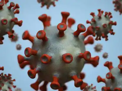 Modelle eines Coronavirus