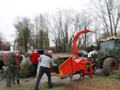 An Ort und Stelle werden die gesammelten Tannenb&auml;ume wie im Vorjahr geschreddert: Das Material bekommt wieder der Ortsb&uuml;rgerverein f&uuml;r den neuen Generationenplatz &bdquo;L&uuml;ttje Festung&ldquo;.