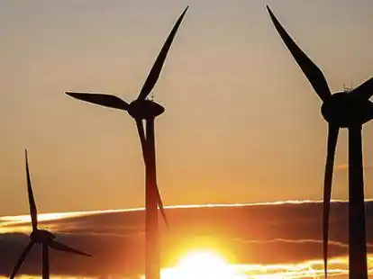 Ein Windpark mit neun Anlagen soll im Barghorner Moor errichtet werden. Wegen des Baus einer Nisthilfe hat ein Anwohner aus Ovelg&ouml;nne nun &Auml;rger mit dem Investor.