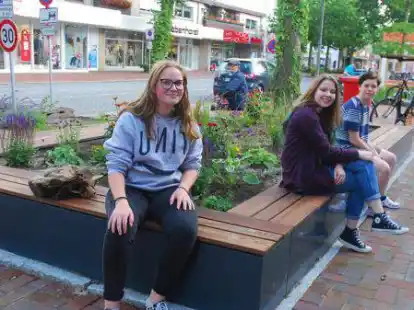 Die Hochbeetanlage mit Sitzgelegenheit in der Menkestra&szlig;e kommt gut an bei den B&uuml;rgern. Davon k&ouml;nnte es bald weitere im Stadtzentrum geben.