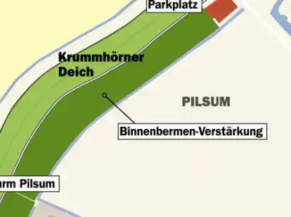 Auf die Wiesen an der Deichinnenseite, die Binnenberme, sollen 16.000 Kubikmeter Erdreich kommen.