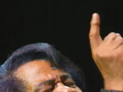Der US-amerikanische Soul-S&auml;nger James Brown gibt in Schweiburg das Motto vor.