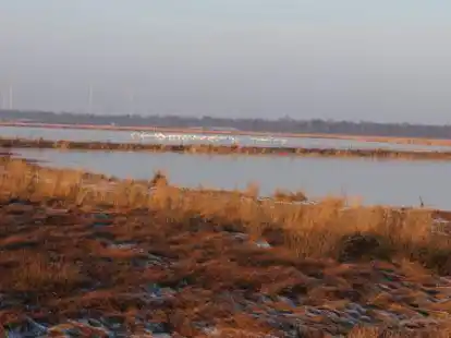 Wie das Vehnemoor (Bild) in B&ouml;sel k&ouml;nnte auch der H&uuml;lsberg, Deutschlands letzte Hochmoorsiedlung, wieder vern&auml;sst werden, bef&uuml;rchten die &ouml;rtlichen Landwirte.