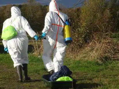 Tierseuchen&uuml;bung zur Bergung eines Wildschweinkadavers von Dr. Dagmar Lammers und Dr. Nicole Zielschot.