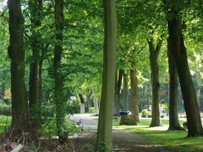 Das W&auml;ldchen grenzt an den Friedhof der Kirchengemeinde Sande - und war ohnehin viele Jahre lang als als Erweiterungsfl&auml;che f&uuml;r den Friedhof vorgesehen.