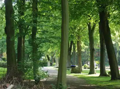 Das W&auml;ldchen grenzt an den Friedhof der Kirchengemeinde Sande - und war ohnehin viele Jahre lang als als Erweiterungsfl&auml;che f&uuml;r den Friedhof vorgesehen.
