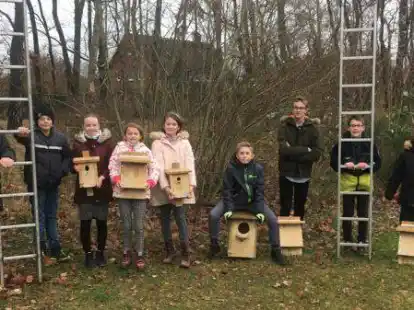 Die Naturschutz AG der Graf-von-Zeppelin-Schule in Ahlhorn hat Nistk&auml;sten aufgeh&auml;ngt.