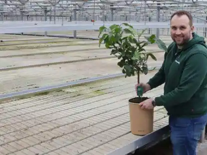 Hier wird bald alles gr&uuml;n sein: &bdquo;Bloomify&ldquo;, hier Gesch&auml;ftsf&uuml;hrer Daniel Schnadt, baut ein Versandzentrum in Harpstedt auf.
