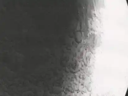 Ein Bild von Nanne Meyer: durch ihre Ausstellung kann man auch telefonisch gef&uuml;hrt werden.