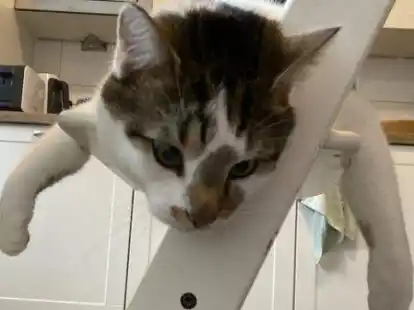 &bdquo;Was machst du so?&ldquo; &ndash; &bdquo;Nichts, nur rumh&auml;ngen.&ldquo;