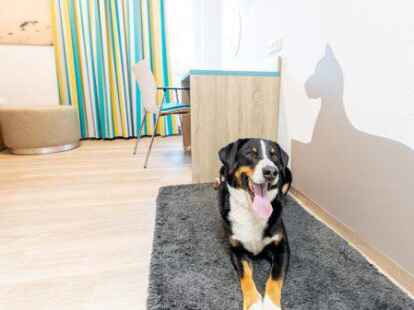 Tierische Begleitung bei der Reha in Norddeich: In der Dr. Becker Klinik ist das nun m&ouml;glich.