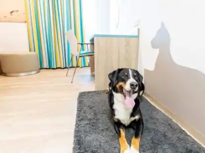 Tierische Begleitung bei der Reha in Norddeich: In der Dr. Becker Klinik ist das nun m&ouml;glich.