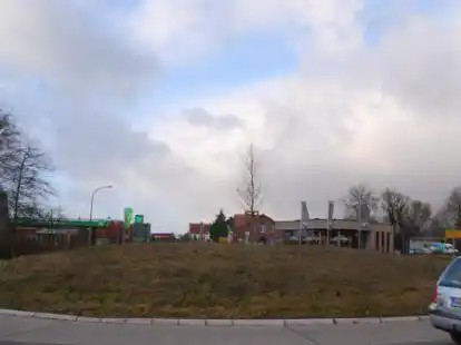 Einsames B&auml;umchen: Im Herbst lie&szlig; der B&uuml;rgerverein auf dem Kreisel eine Eiche pflanzen. Im Fr&uuml;hjahr soll die weitere Gestaltung  folgen.