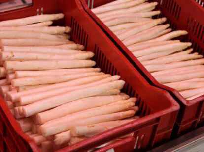 Eine Spargelfahrt unternimmt der R&uuml;stringer Heimatbund am 15. Juni.