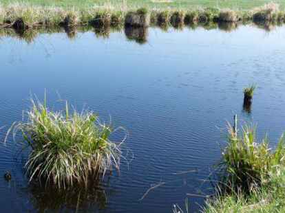 Die Wesermarsch und ihre Gegebenheiten stehen im Mittelpunkt des Filmes am 26. Februar.