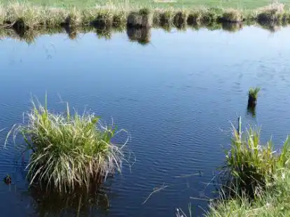 Die Wesermarsch und ihre Gegebenheiten stehen im Mittelpunkt des Filmes am 26. Februar.