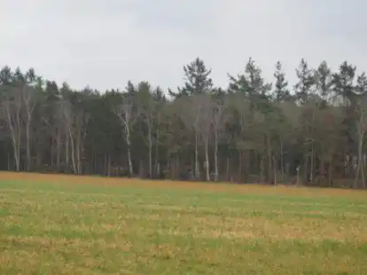 Hier zwischen &bdquo;Alte Heerstra&szlig;e&ldquo; und B 213 soll ein neues Gewerbegebiet entstehen.