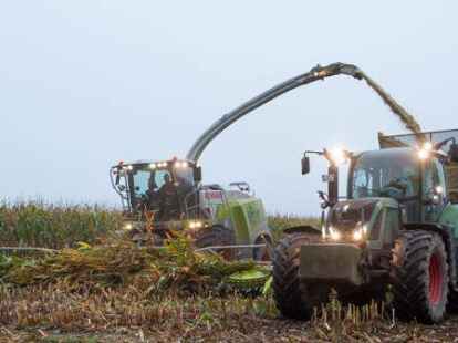 Maisernte: Bevor ein Landwirt Pflanzen anbauen kann, muss er erstmal kr&auml;ftig investieren. Die Preise f&uuml;r landwirtschaftliche Fl&auml;chen sind auch im Ammerland enorm gestiegen.