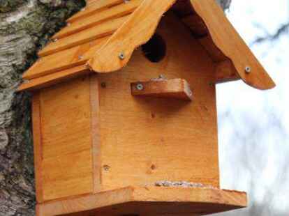 Die Holler Jagdgenossenschaften verschenken Nistk&auml;sten an ihre Mitglieder und B&uuml;rger aus Holle.