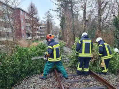 Kr&auml;fte der Feuerwehr Sillenstede s&auml;gten einen Baum klein, der aufs Gleis zum Fliegerhorst gest&uuml;rzt war.