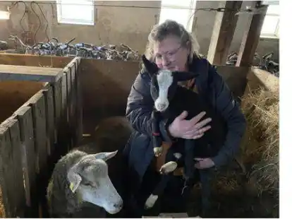 Alexandra Semprich pr&auml;sentiert  mit Kn&uuml;del das Lamm, das mit der Flasche aufgep&auml;ppelt worden ist.  Das Ostfriesischen Milchschaf Paulina (links) hatte wie berichtet Vierlinge zur Welt gebracht. Der Vater ist ein Zwartbless-Bock.