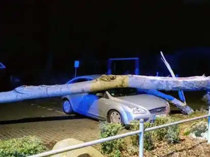 Dieser Pkw parkte auf einem Parkplatz in der N&auml;he des Sandkruger Bahnhofs und wurde von einem Baum getroffen.