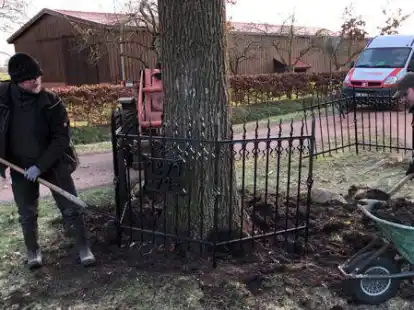 Frank T&ouml;njes und Tjark Haverkamp  stellten den renovierten Zaun wieder auf.