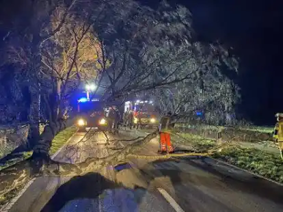In der Dunkelheit im Einsatz: In Harpstedt befreiten die Kameradinnen und Kameraden viele Stra&szlig;en von umgest&uuml;rzten B&auml;umen.